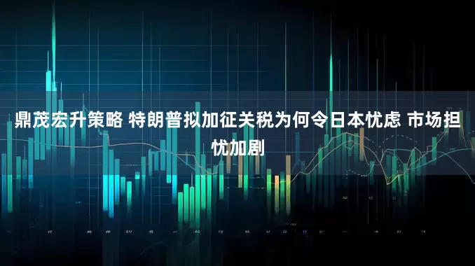 鼎茂宏升策略 特朗普拟加征关税为何令日本忧虑 市场担忧加剧