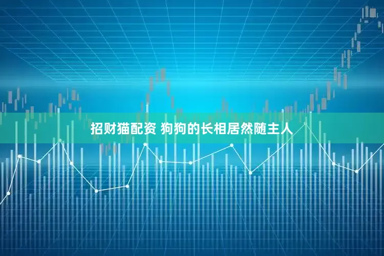 招财猫配资 狗狗的长相居然随主人