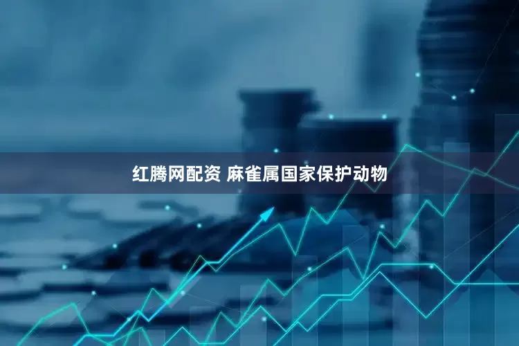 红腾网配资 麻雀属国家保护动物