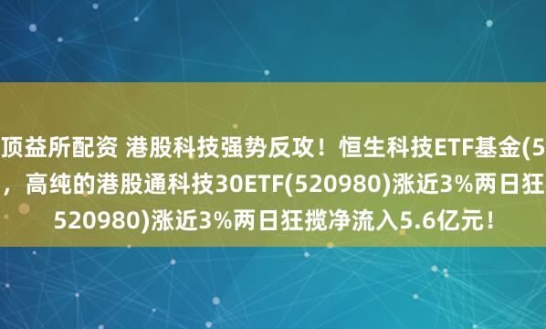 顶益所配资 港股科技强势反攻！恒生科技ETF基金(513260)大涨近3%，高纯的港股通科技30ETF(520980)涨近3%两日狂揽净流入5.6亿元！