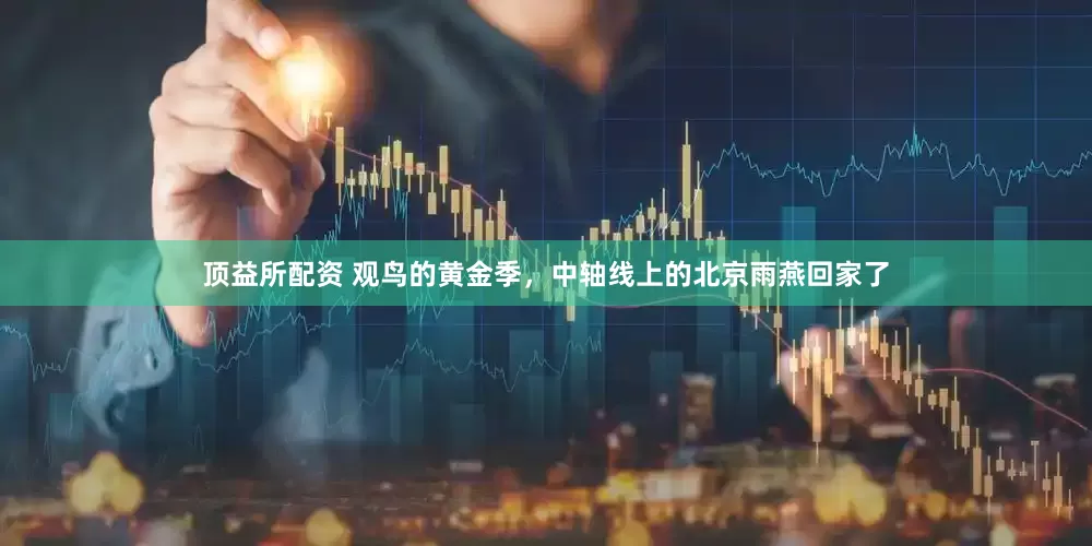 顶益所配资 观鸟的黄金季，中轴线上的北京雨燕回家了