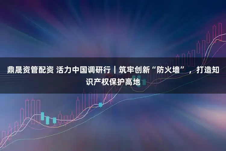 鼎晟资管配资 活力中国调研行｜筑牢创新“防火墙” ，打造知识产权保护高地