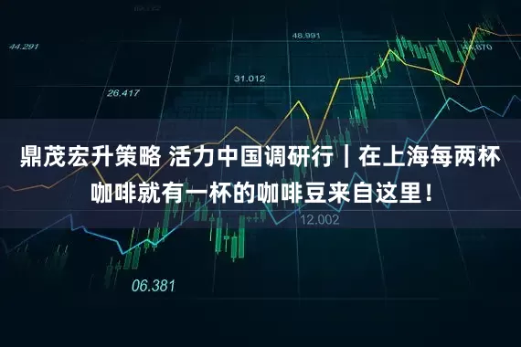 鼎茂宏升策略 活力中国调研行｜在上海每两杯咖啡就有一杯的咖啡豆来自这里！