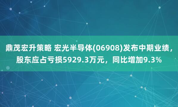 鼎茂宏升策略 宏光半导体(06908)发布中期业绩，股东应占亏损5929.3万元，同比增加9.3%