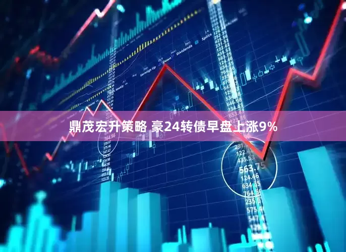鼎茂宏升策略 豪24转债早盘上涨9%